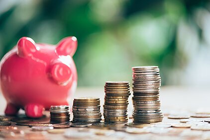 Spenden zur Finanzierung des IFZ Heidelberg