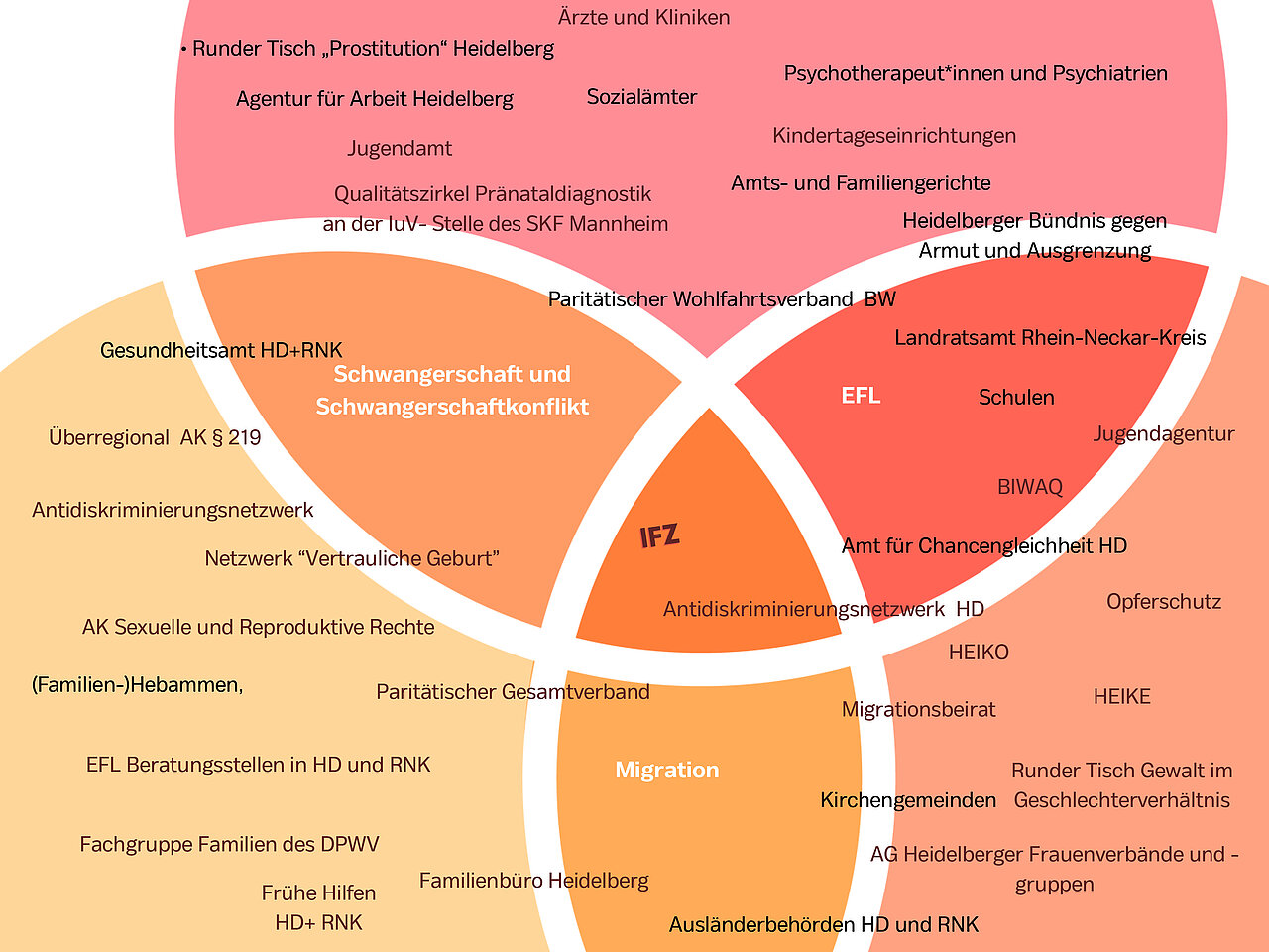 Netzwerkgrafik von Partnern des IFZ-Heidelberg