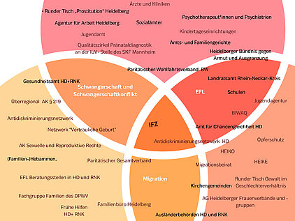 Netzwerkgrafik von Partnern des IFZ-Heidelberg